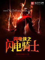 闪电侠之闪电骑士小说