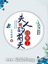 夫人的前夫回来了小说