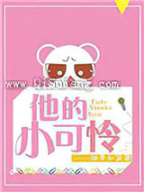 他的小可怜小说