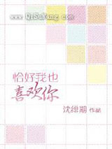 恰好我也喜欢你小说