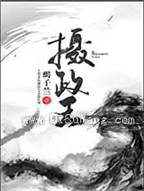 摄政王小说