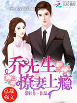 乔先生，撩妻上瘾！小说