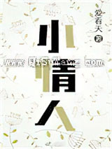 小情人小说