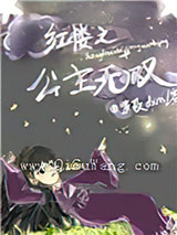 红楼之公主无双小说