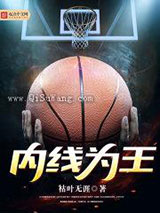内线为王小说