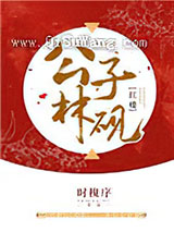 [红楼]公子林砚小说