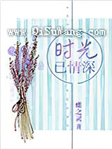 时光已情深小说