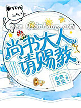 尚书大人，请赐教小说