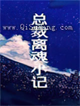 总裁离魂小记小说