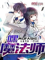 嘿，魔法师小说