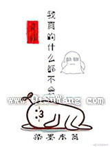 我真的什么都不会小说