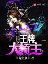 三国之王牌大领主小说