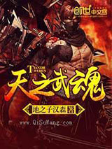 天之武魂小说