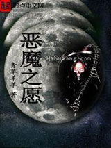 恶魔之愿小说