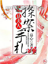 县夫人探案手札小说