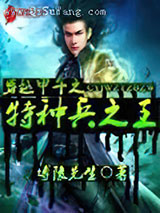 穿越甲午之特种兵之王小说