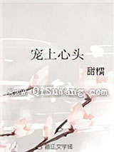 宠上心头小说