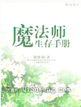 魔法师生存手册小说