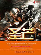 无尽之圣芒小说