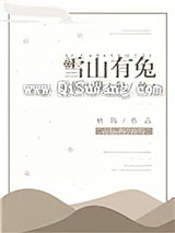 [综]雪山有兔小说