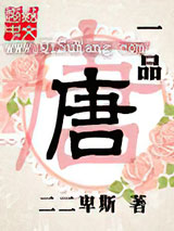 一品唐小说