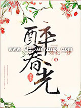 醉春光小说