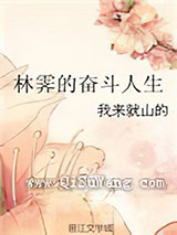 林霁的奋斗人生小说