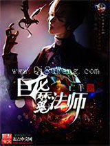 巨龙魔法师小说