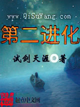 第二进化小说