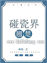 碰瓷界翘楚小说