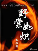 野棠如炽小说