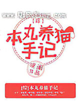 [综]本丸养猫手记小说