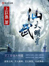 仙武大明星小说