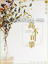 高不可攀小说