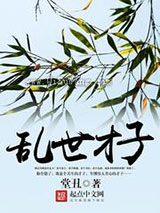乱世才子小说