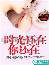 时光还在，你还在小说