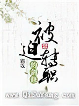 被迫转职的剑修小说