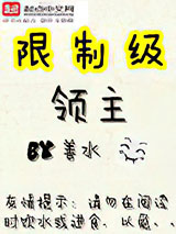 限制级领主小说