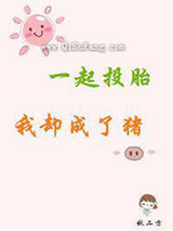 一起投胎我却成了猪小说