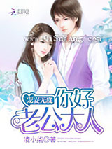 宠妻无度：你好，老公大人小说