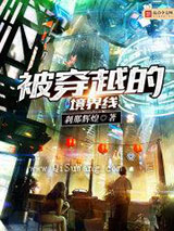 被穿越的境界线小说