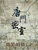 唐门密室小说