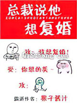 总裁说他想复婚小说