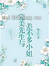 完美先生与差不多小姐小说