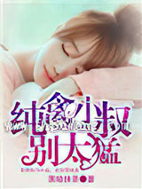 纯禽小叔别太猛小说