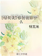 [综英美]你爸爸算什么小说