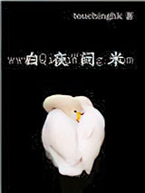 白夜问米小说