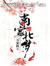 南宫北梦小说