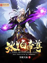 冰焰帝尊小说