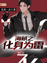 海贼之化身为雷小说